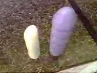 Menari dildos