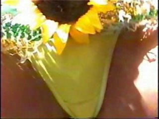 Μαϊάμι vice carnival 2006 v