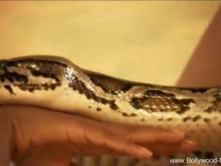 Bollywood og den sjarmerende snake